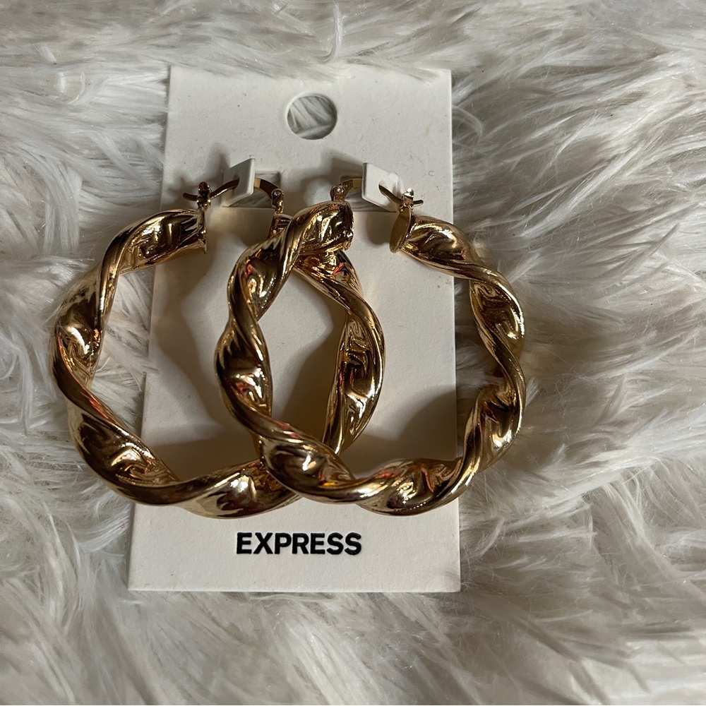 Express Twist Hoop Earrings